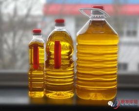 美国豆油最新爆料,揭秘市场动态与价格走势